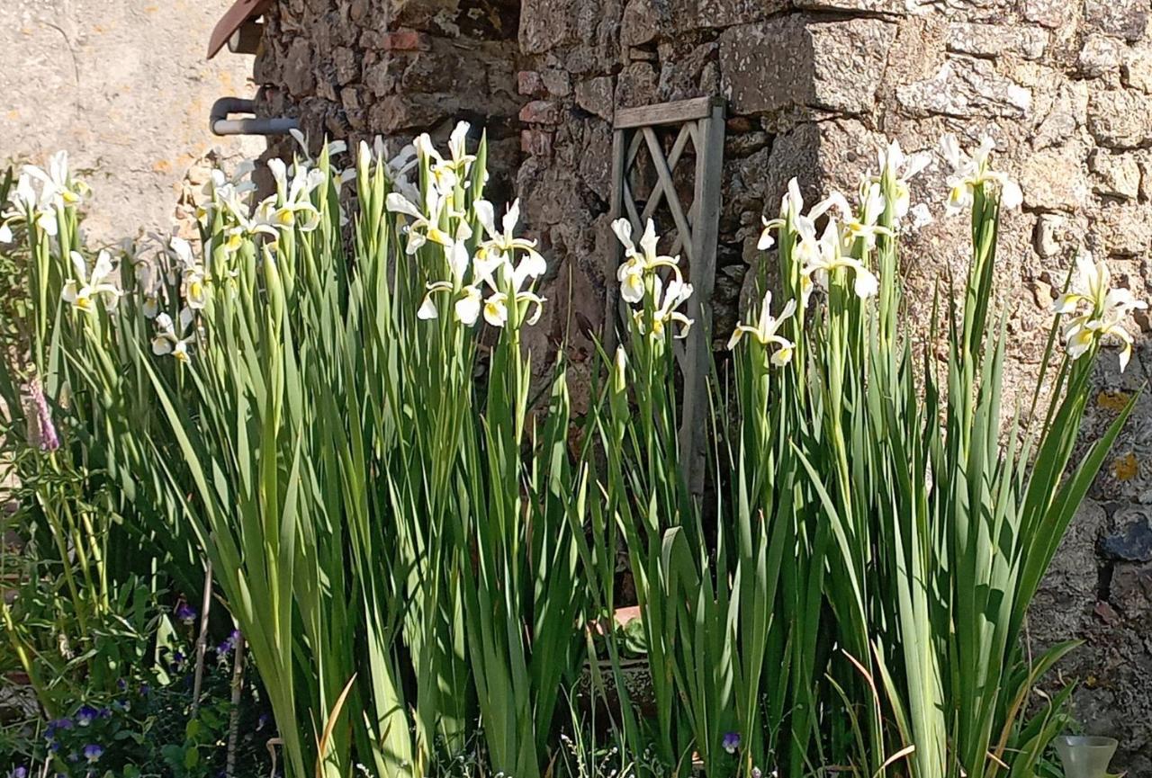 Charmant Gite A La Campagne, Proche Du Puy Du Fou, Les Charmes De Castellariis Pouzauges Exteriér fotografie